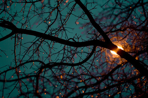 light-buds
