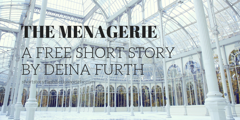 the menagerie by deina furth